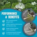 GREEN CLEAR PRO - Concentrated PROFESSIONAL Highly Effective Roof & Paving Green Growth & Algae Remover & Killer