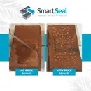 BRICK / MASONRY Sealer - Highly Water Resistant, 'DRY' Finish, Impregnating & Breathable