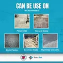 Patio Clean Xtreme - All Purpose Patio Cleaner