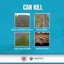 Roof Clean Xtreme - Professional Grade Roof Tile Cleaner