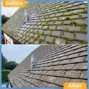 GREEN CLEAR - POWERFUL Green Growth & Algae Remover - Safe & Easy to Use - DRIVES - ROOFS - PATIOS - TARMAC