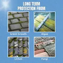 GREEN CLEAR - POWERFUL Green Growth & Algae Remover - Safe & Easy to Use - DRIVES - ROOFS - PATIOS - TARMAC