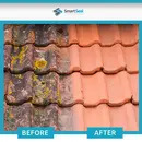 Roof Clean Xtreme - Professional Grade Roof Tile Cleaner