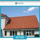 Roof Clean Xtreme - Professional Grade Roof Tile Cleaner