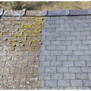 GREEN CLEAR (formerly Moss Clear) - POWERFUL Green Growth & Algae Remover - Safe & Easy to Use - DRIVES - ROOFS - PATIOS - TARMAC