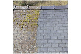 MOSS CLEAR - POWERFUL Moss & Algae Remover - Safe & Easy to Use - DRIVES - ROOFS - PATIOS - TARMAC