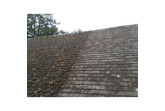 GREEN CLEAR PRO (formerly Moss Clear Pro) - Concentrated PROFESSIONAL Highly Effective Roof & Paving Green Growth & Algae Remover & Killer